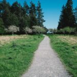 resized_41_fallback